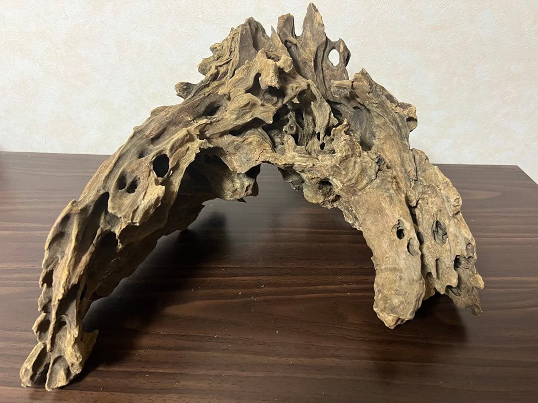 XM-321 流木マシンガンウッド　ブランチウッド　アクアリウム　沈水確認済