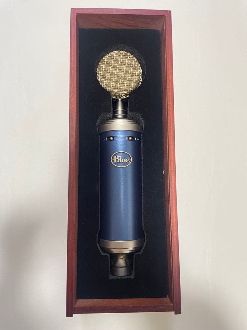 ⭐︎新品／未使用⭐︎Blue Microphones コンデンサーマイク 青