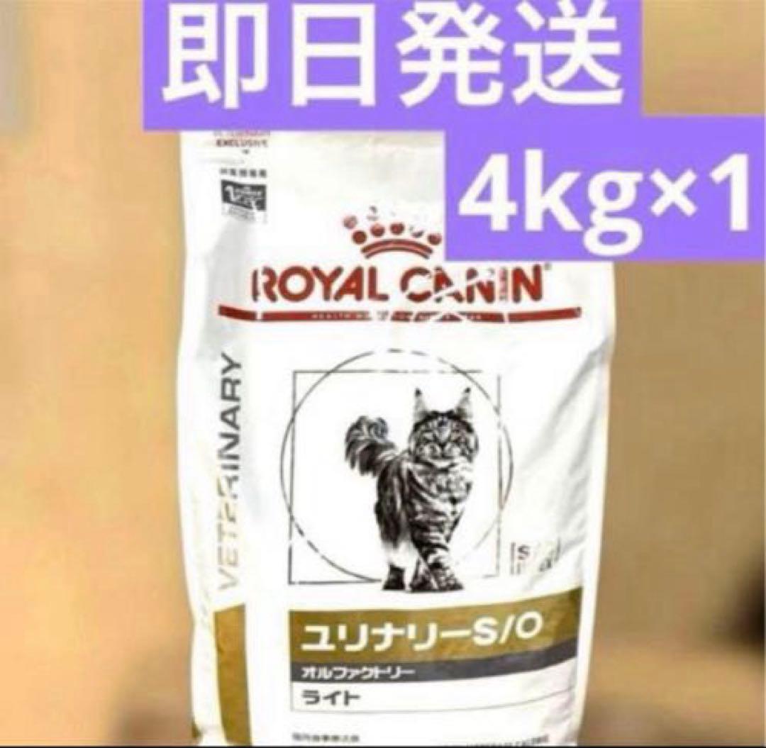 ロイヤルカナン　ユリナリー　オルファクトリー　ライト