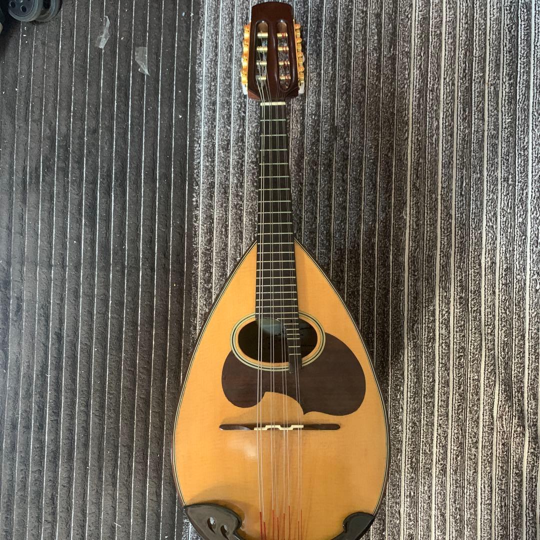 鈴木マンドリン　M-60