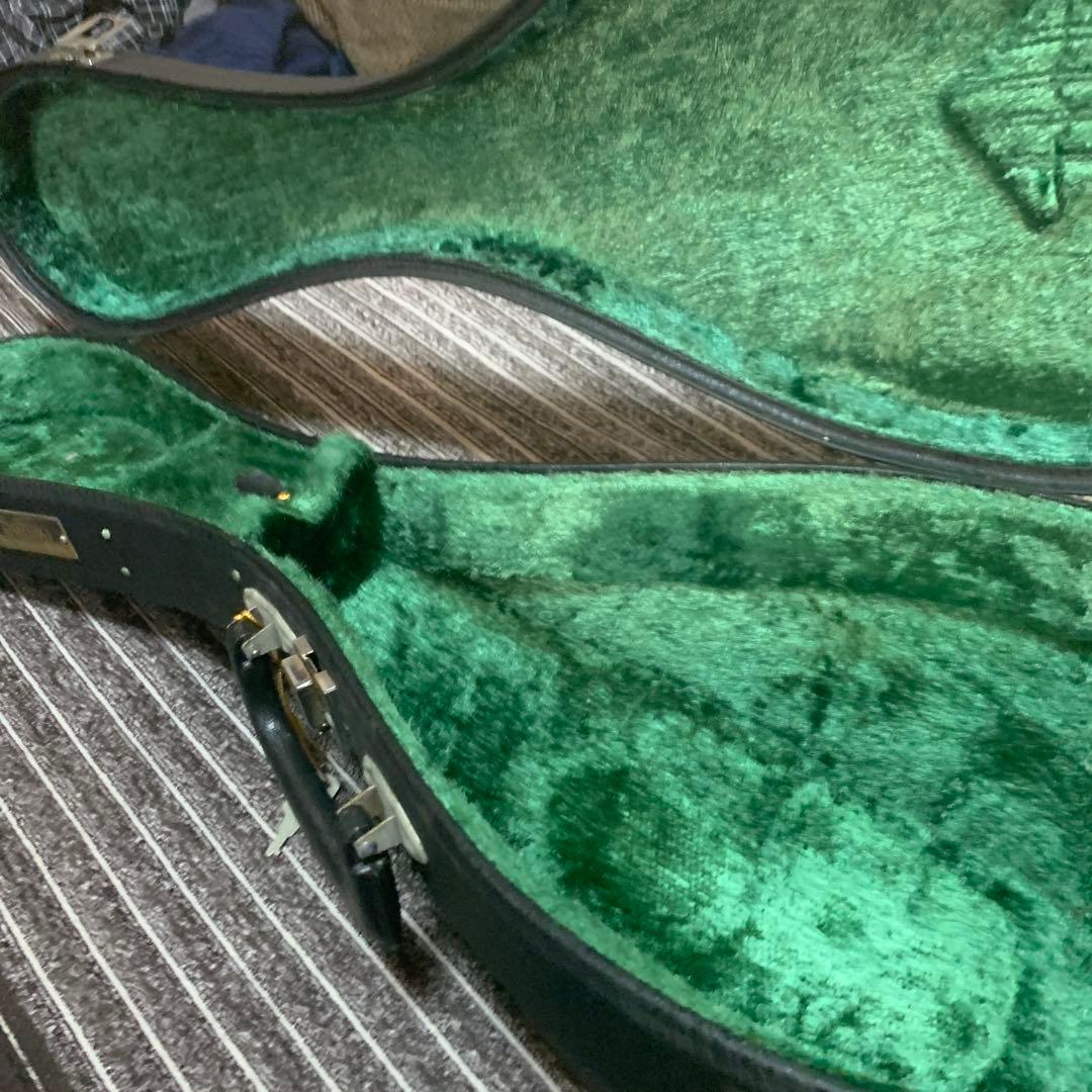 鈴木マンドリン　M-60