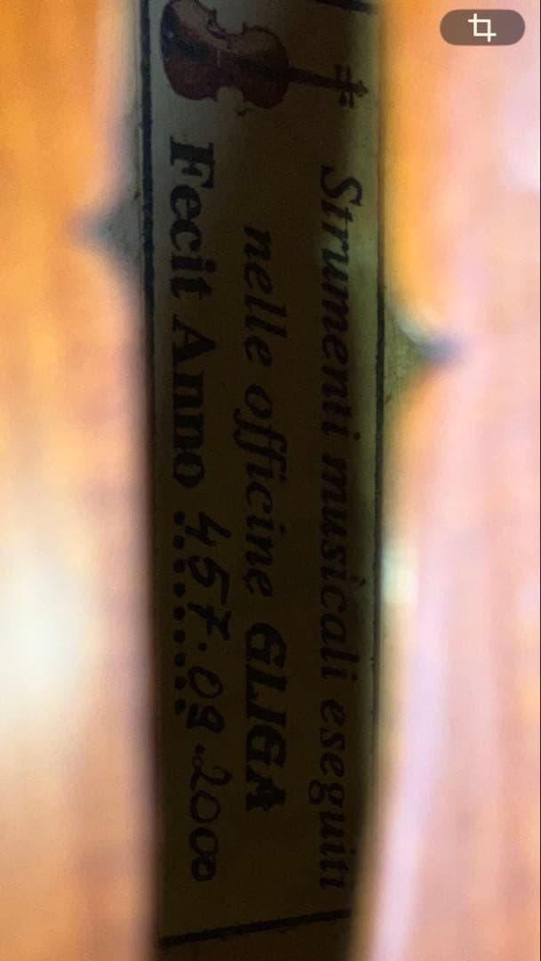 GLIGA 2000年GLIGA gama Ⅱ 4/4 三角型ケース バイオリン