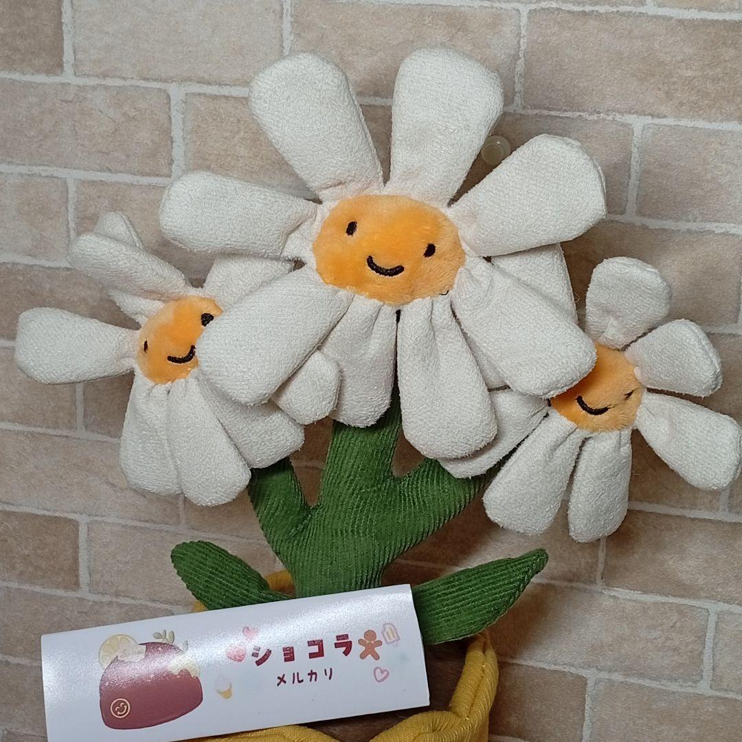  Daisy ジェリーキャット デイジー　お花植木鉢　雛菊　菊花