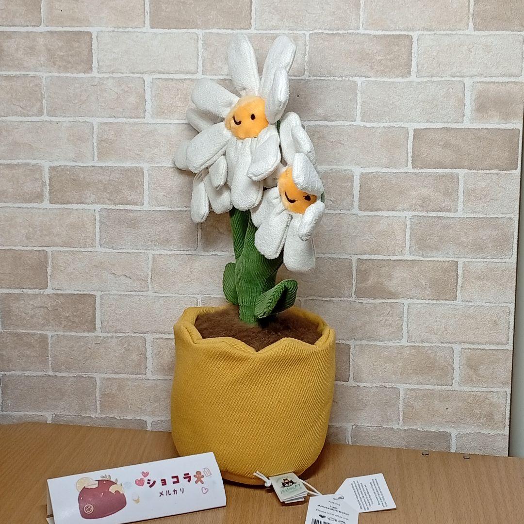  Daisy ジェリーキャット デイジー　お花植木鉢　雛菊　菊花