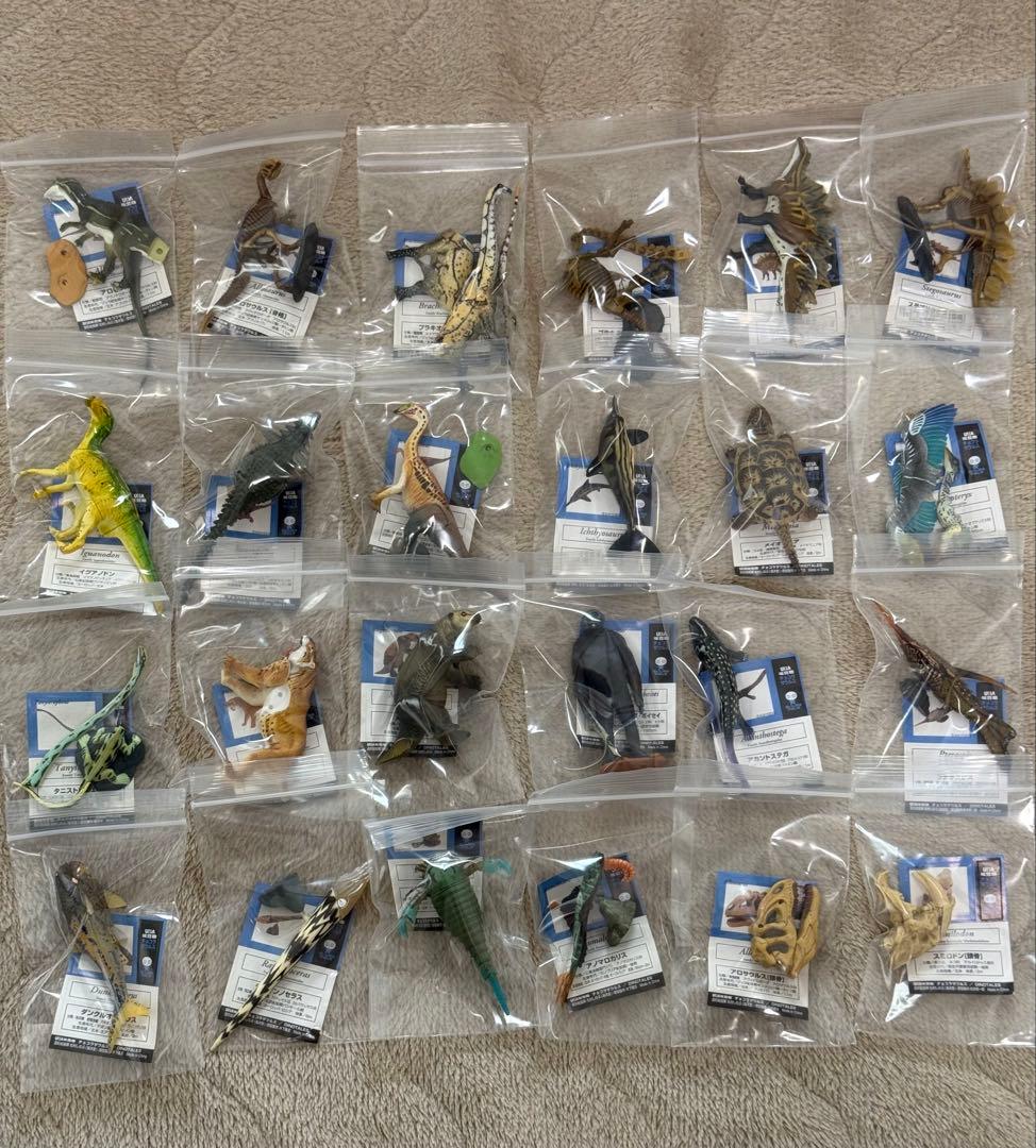 チョコラザウルス　セット