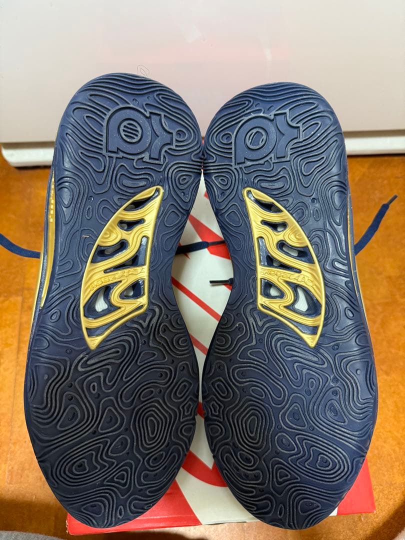 シューズ(男性用) NIKE KD15