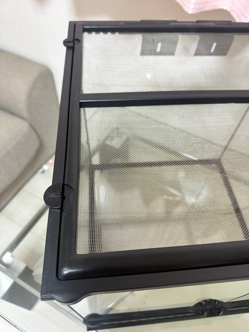 送料込み　taat　水槽