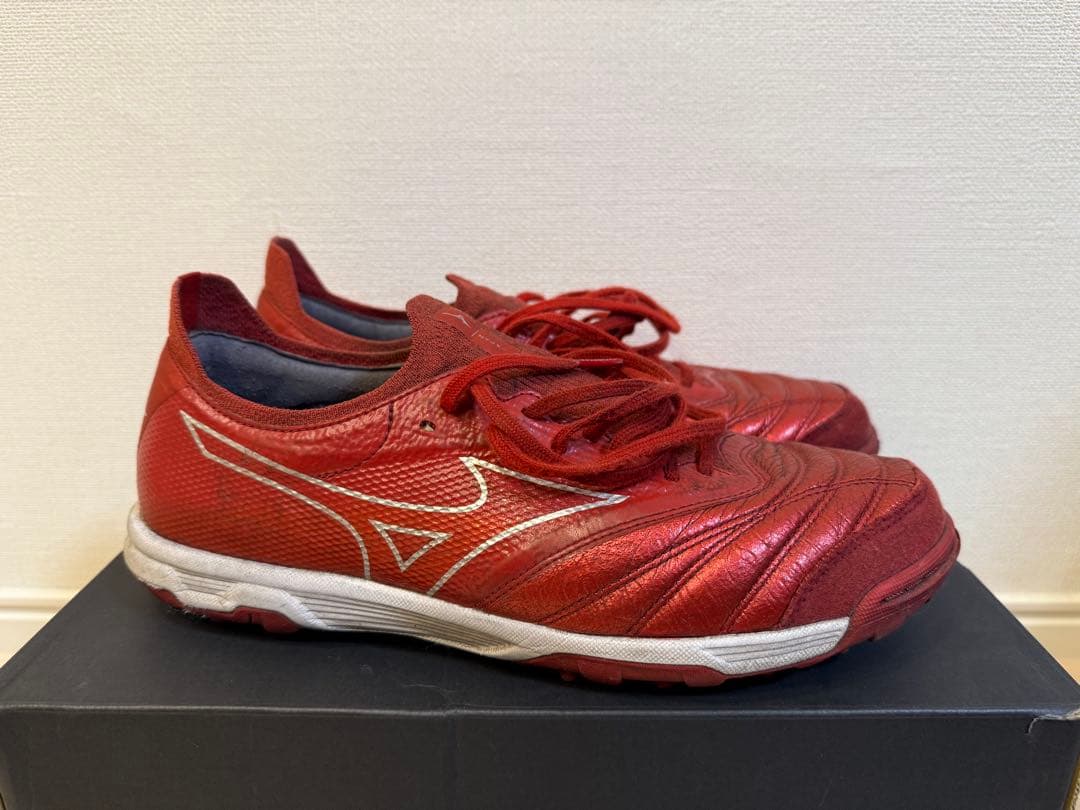 MORELIA NEO SALA β JAPAN TF