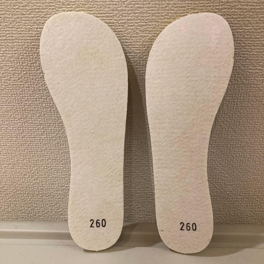 SALOMONサロモンDIALOGUE WIDE JP DUAL BOA26cm