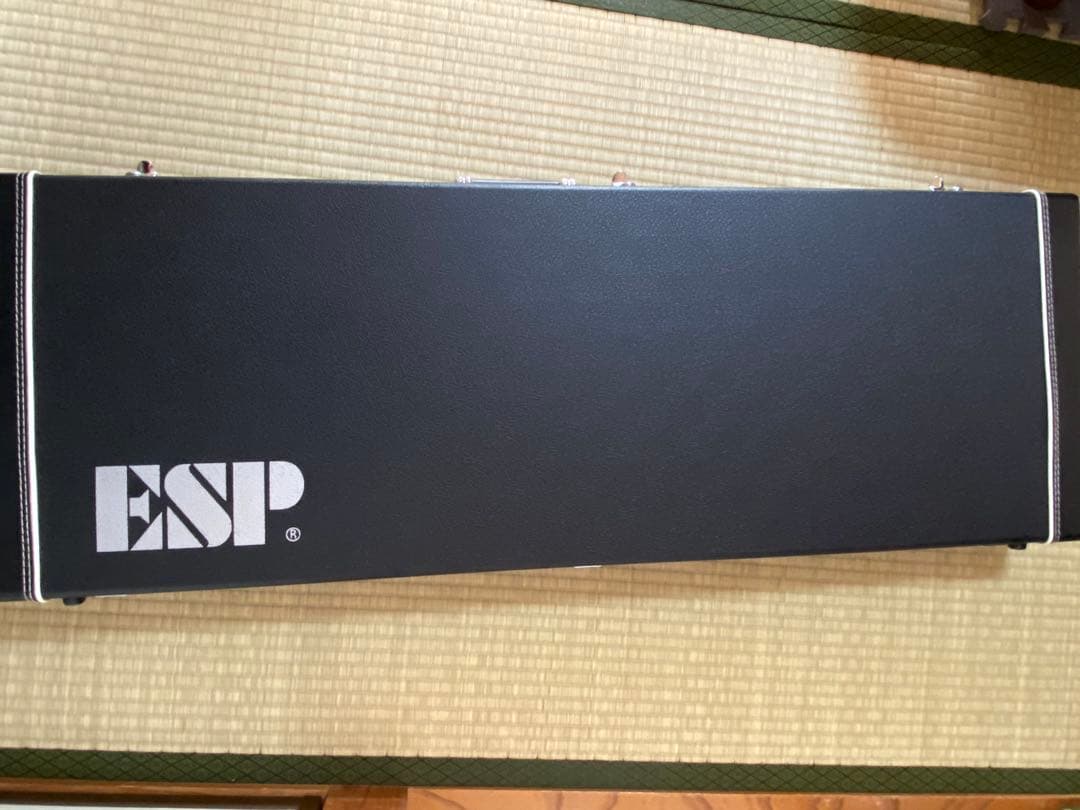 ギター ESP SNAPPER
