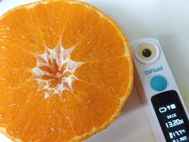 【送料無料】愛媛産　甘平　かんぺい　３L　約10ｋｇ（5ｋｇｘ2箱）