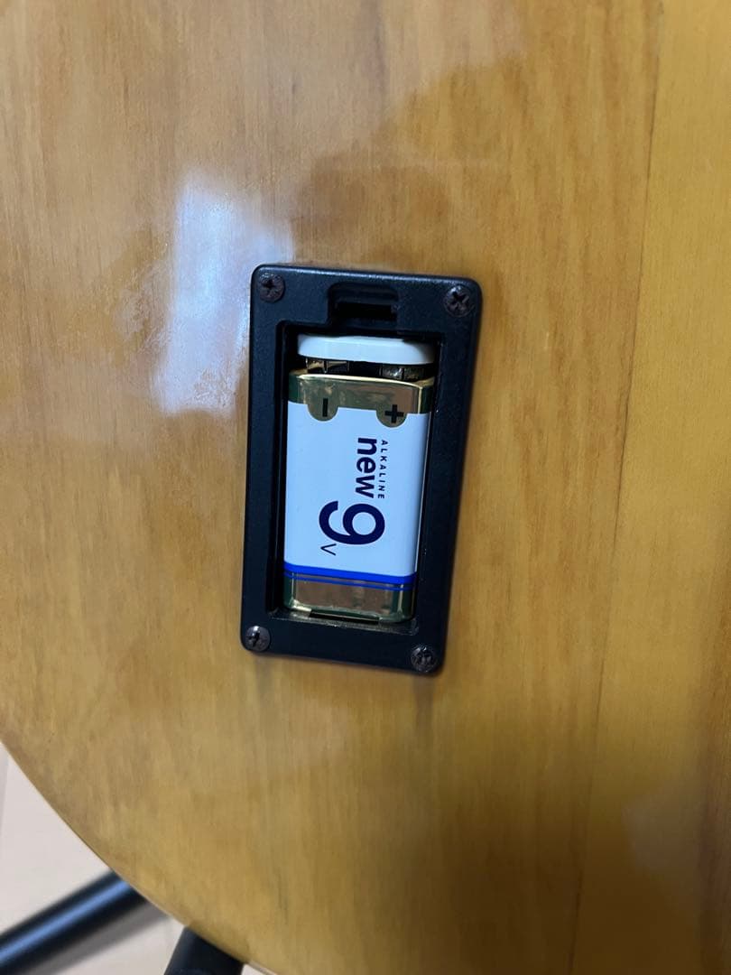 SX スティングレイ アクティブベース MUSICMAN