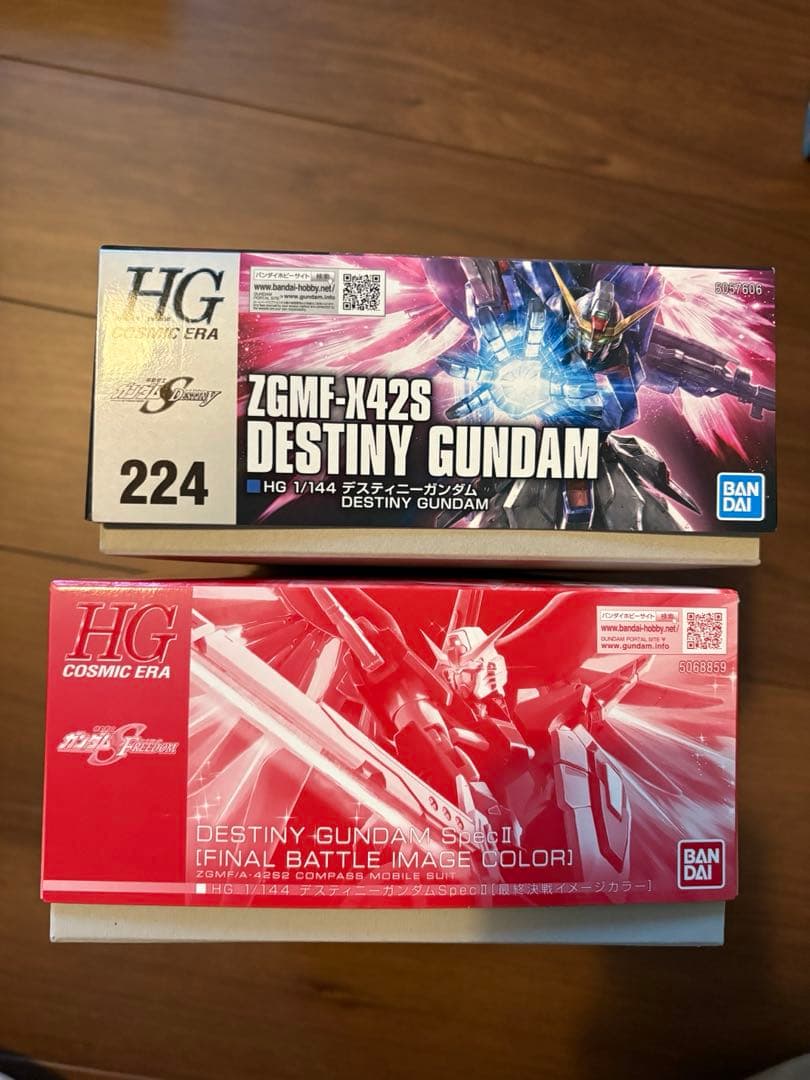 HG デスティニーガンダム 2種セット