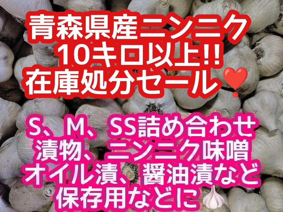 も*と様 青森県産ニンニク小玉10キロ以上!在庫処分セール青森県産にんにく訳あり
