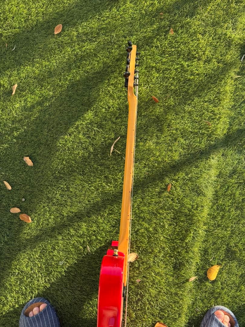 FERNANDES TAKUYAモデル ジュディマリ TE-95T JAM