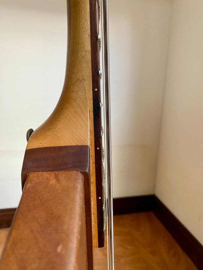 Epiphone T-Bird PRO Thunder Bird 4弦