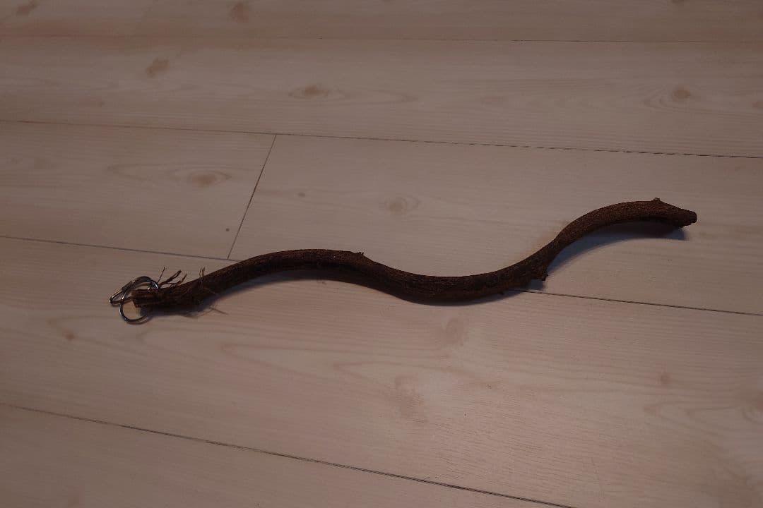 【最終値下】GEX アクリルルーム390High ＆ GEXヒーターМ