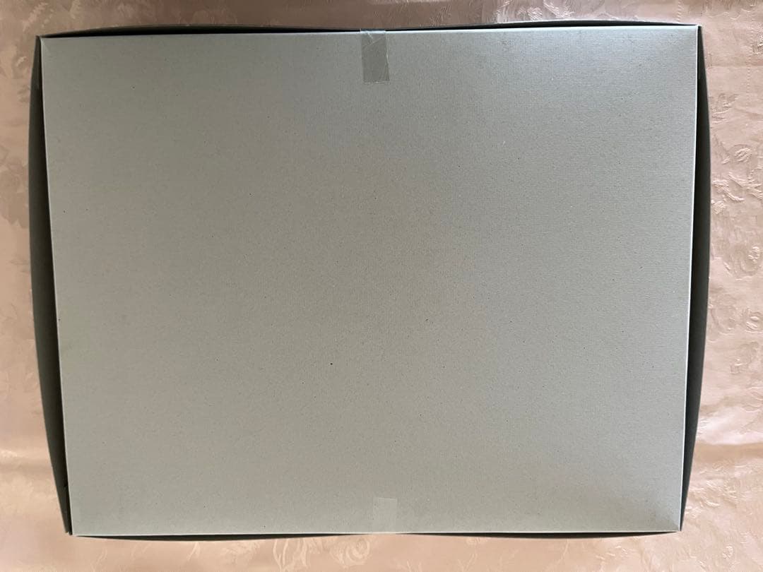 ガンダムF91 ビギナギナ ガンプラ MG