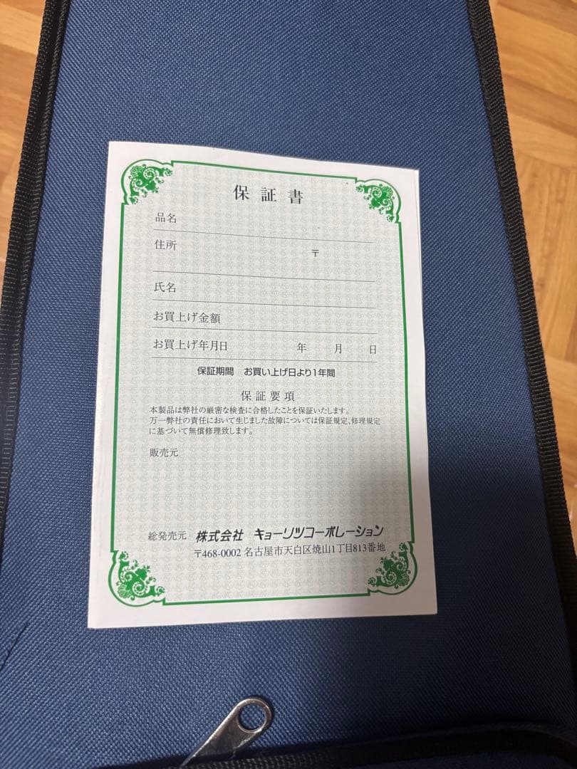 【保証書付き純正】 hallstatt EV-30 エレキバイオリン　初心者