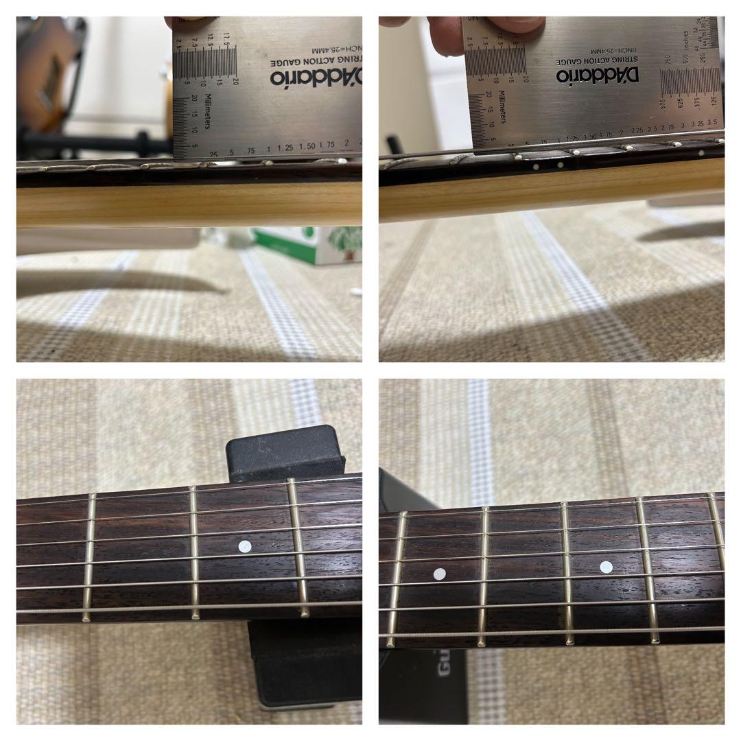 ギター DSG Standard Ash /  White