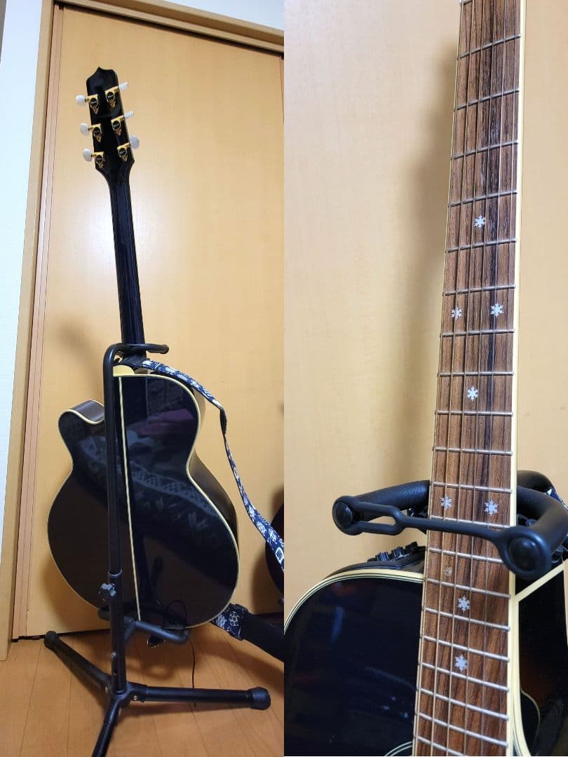 エレアコ takamine DMP552C DBS