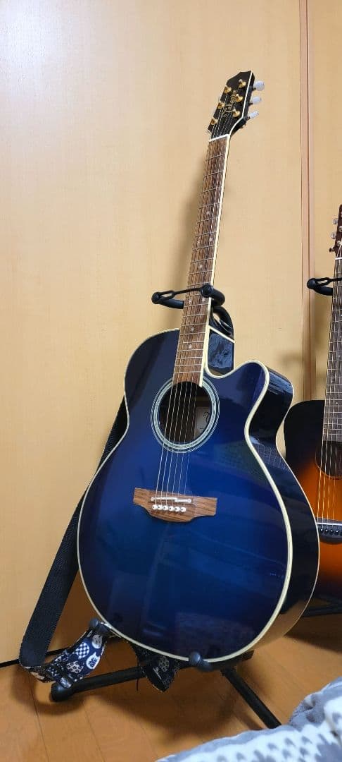 エレアコ takamine DMP552C DBS
