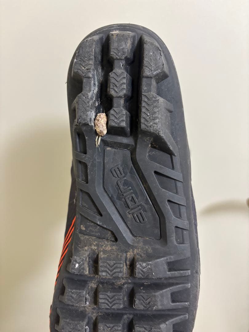 Alpina Race Classic ブーツ 41