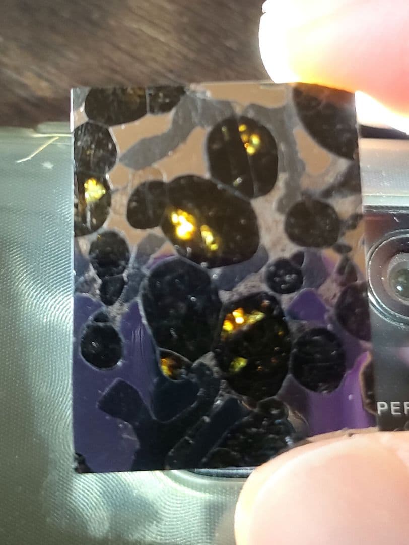 セリコ隕石 パラサイト隕石 スライス 標本