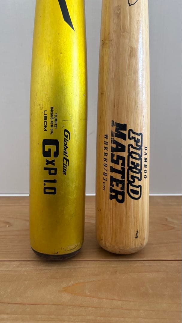 Mizuno GxP10 & Field Master バットセット