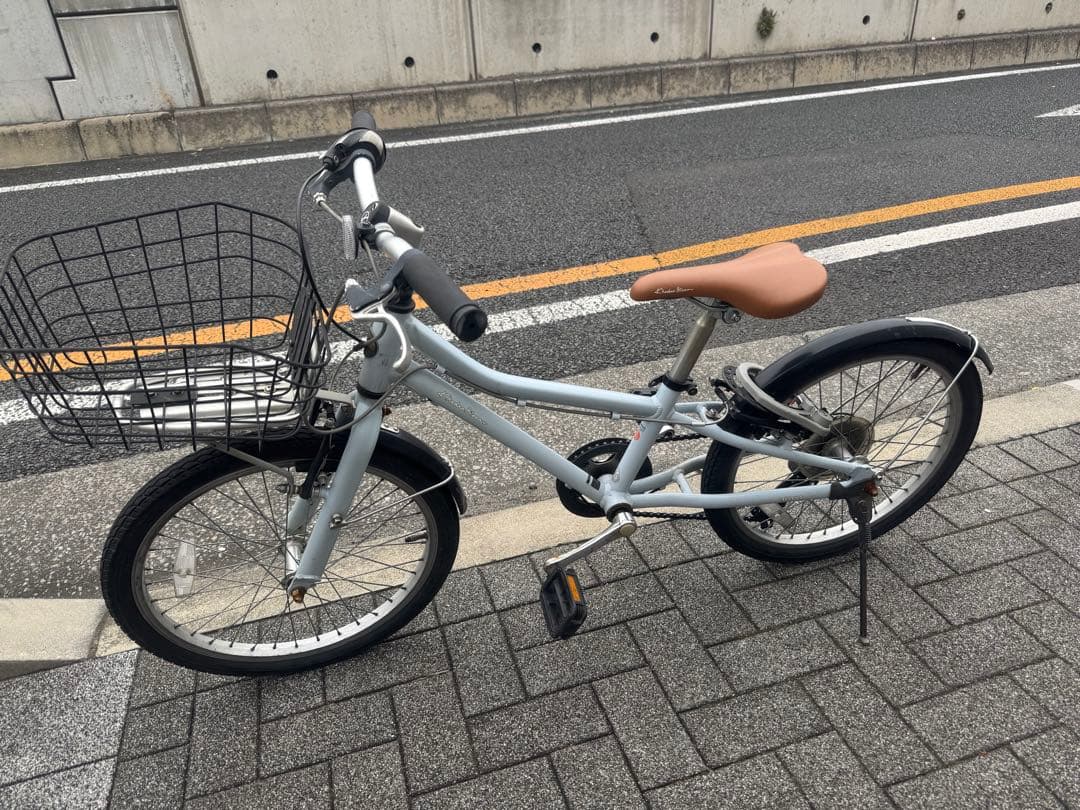 J20 コーダブルーム ブルー