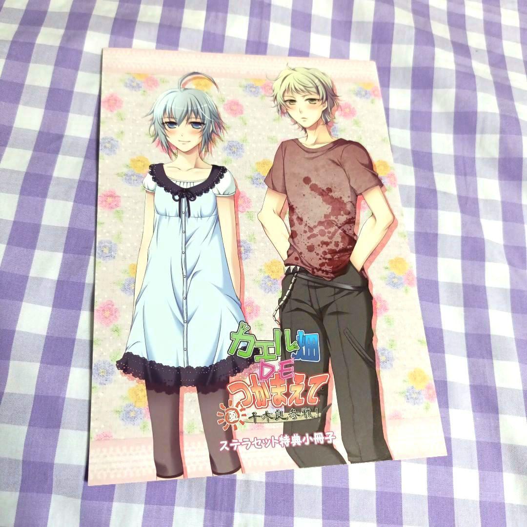 カエル畑deつかまえて　千木良　特典小冊子