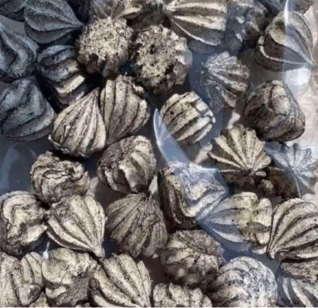 monoメレンゲクッキー7セットtGH