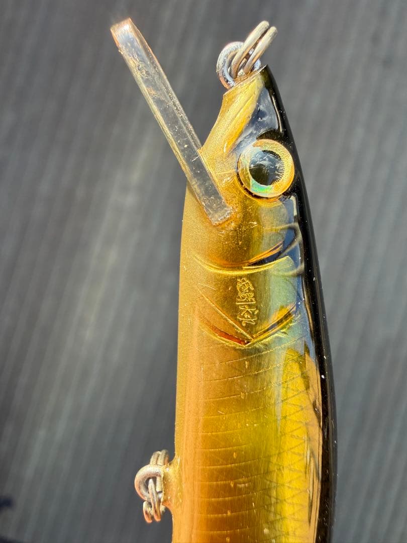 猛闘犬丸 ミノー 9F