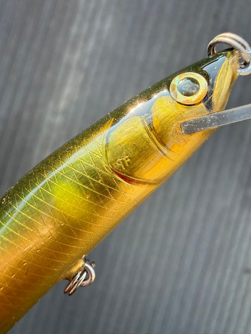 猛闘犬丸 ミノー 9F