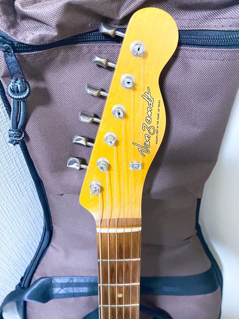 VanZandt TLV-R2 BLACK テレキャスター ソフトケース付き