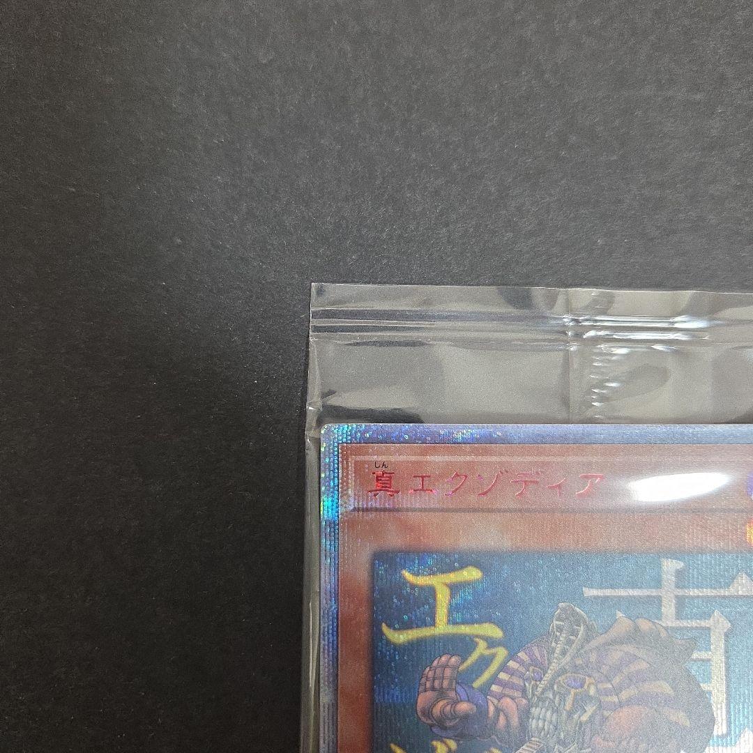 真エクゾディア 未開封