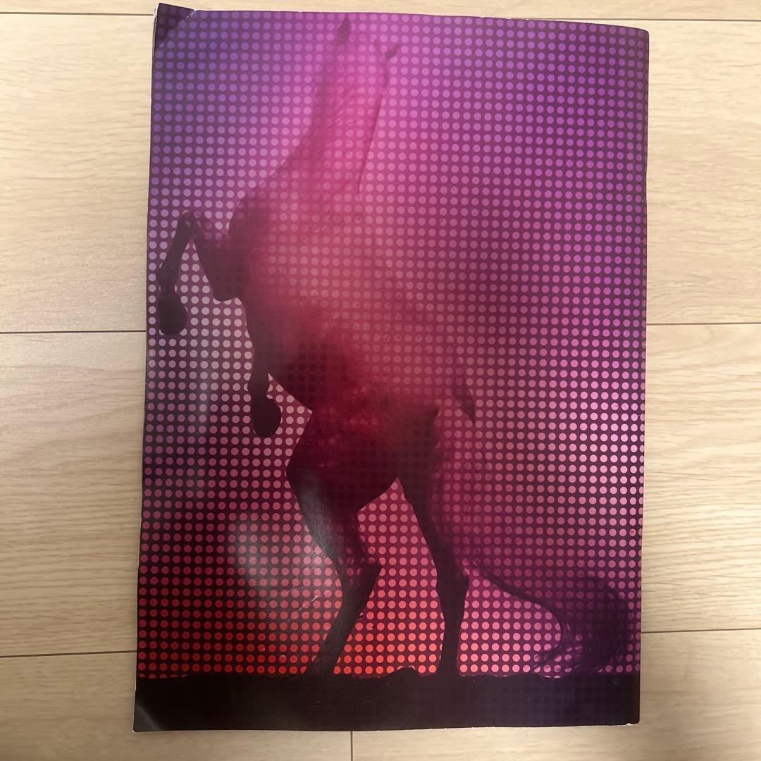 Madonna 日本公演 ツアー Tシャツ・パンフレット・キーホルダーセット