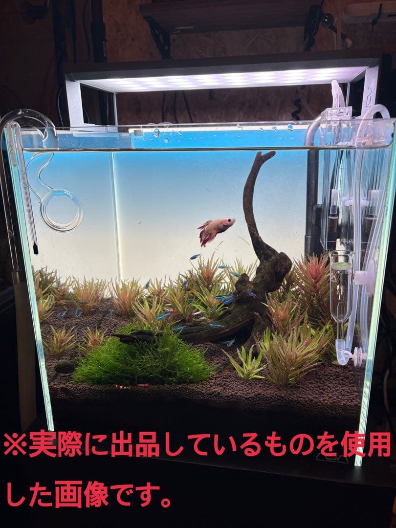 m*o様 ADA CO2システム、30cmLEDライトなど6点【引退セット】