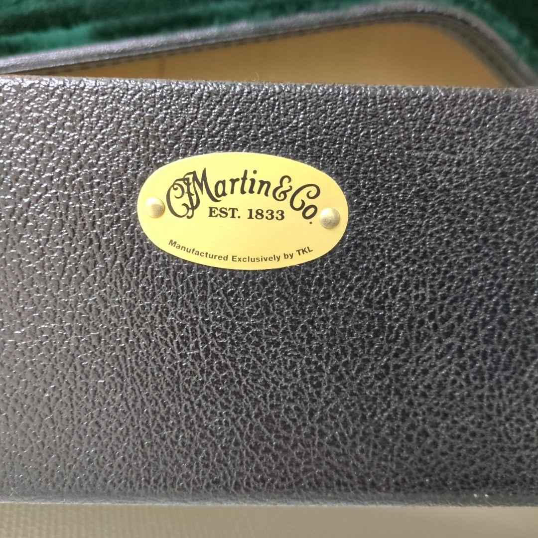 Martin & Co. GPCX1RAE アコースティックギター