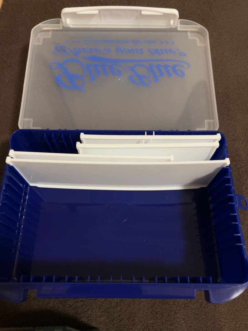 【☆8/22〜25迄＊最終売切価格！ゲリラSALE！！希少ビッグベイトセット☆】