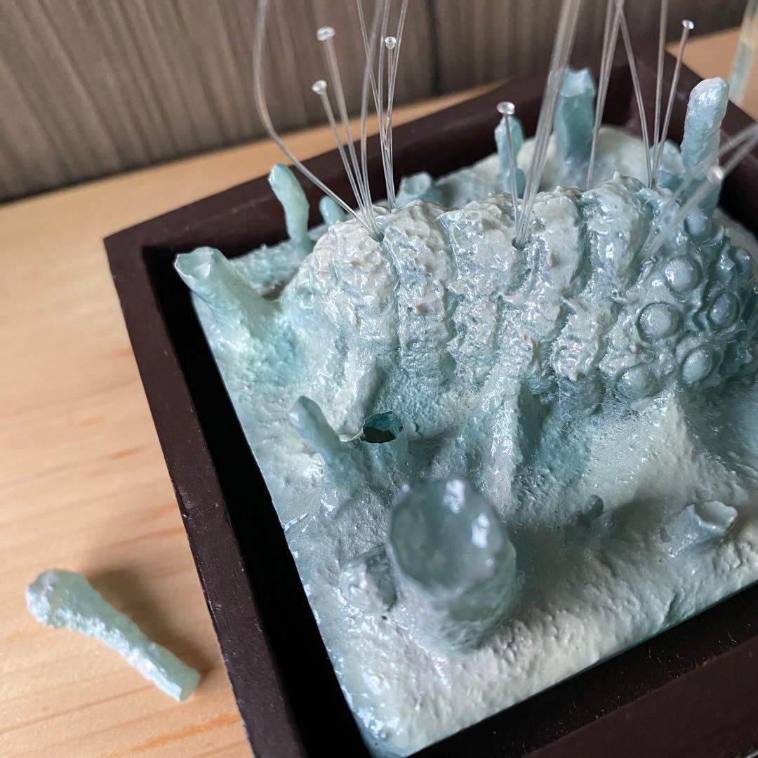 スタジオジブリ風の谷のナウシカ腐海のオウムと胞子アクアプラント