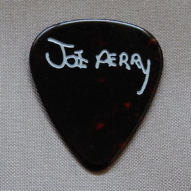 Aerosmith エアロスミス Joe Perry 1994年 ギターピック