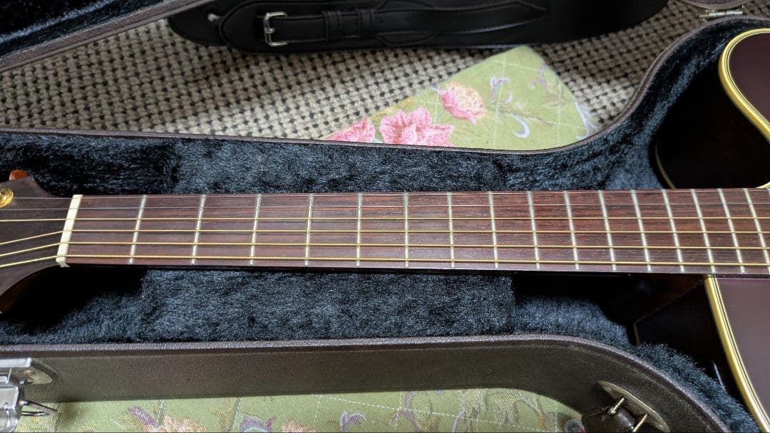 Takamine NPT-012BS【希少・名機】純正ハードケース付