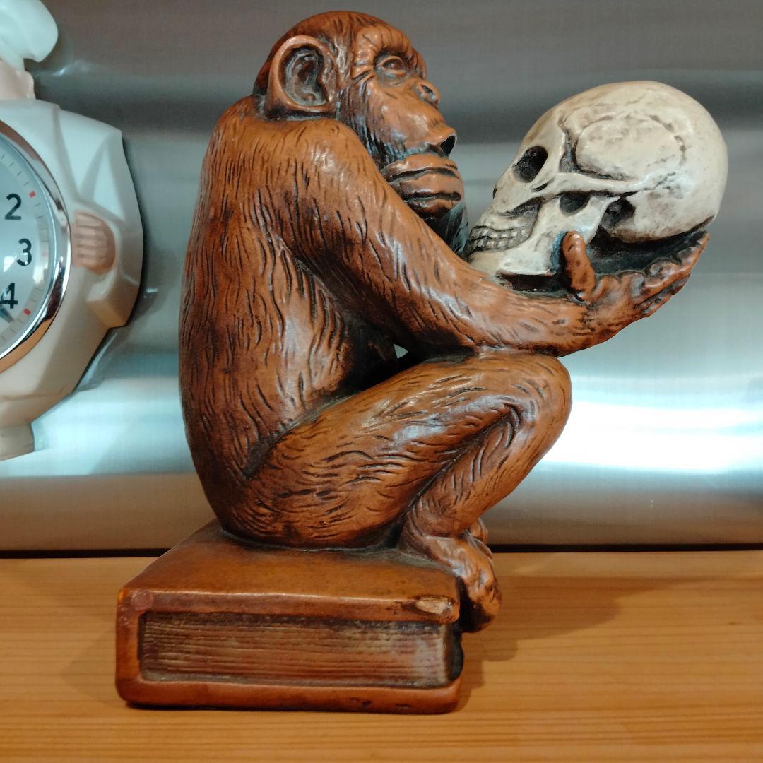 b*x様 1963年　ダーウィン　スカル　ドクロ　モンキー　ビンテージ レア