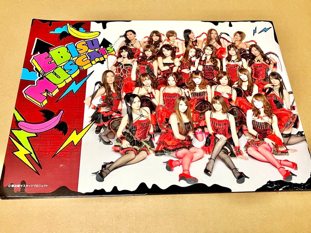 恵比寿マスカッツ 直筆サイン入り パンフレット Rio 吉沢明歩 蒼井そら 他