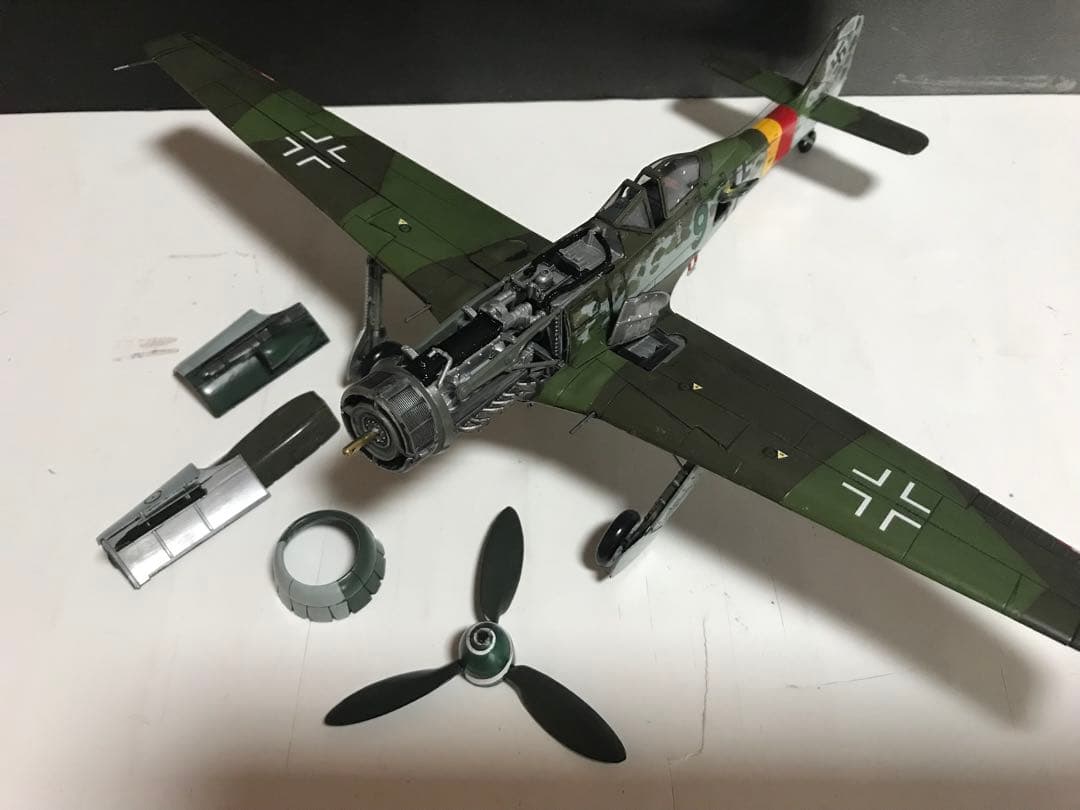 ウォッケウルフTa152H-1