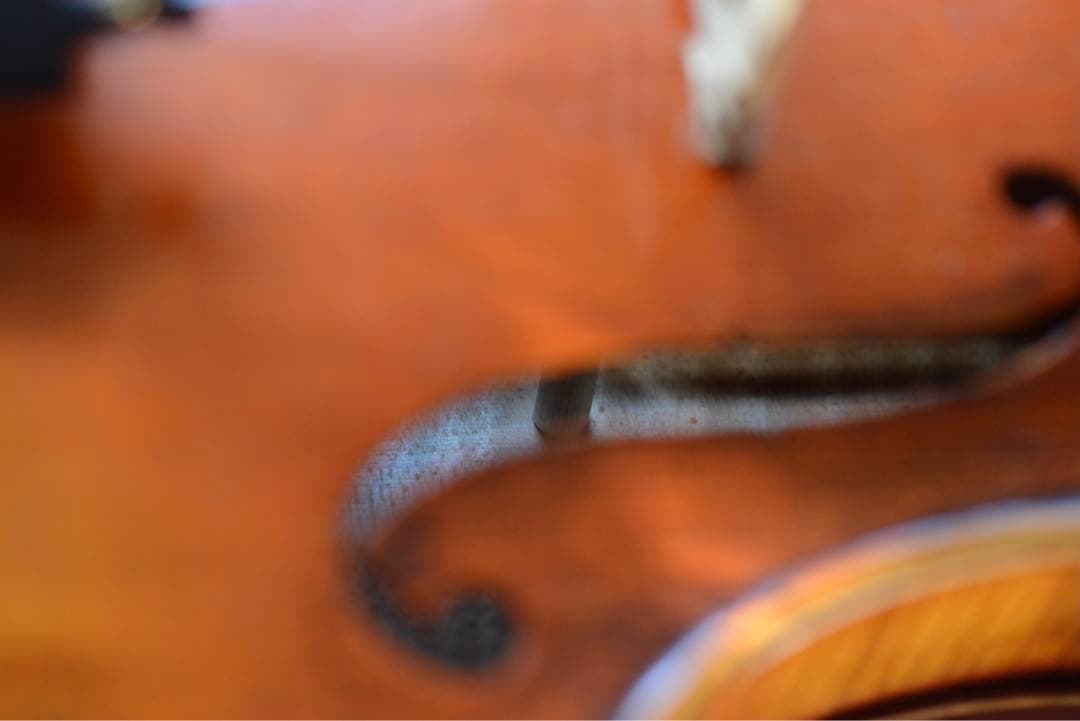 胴長40.5cm 中古ビオラ ラベル無し