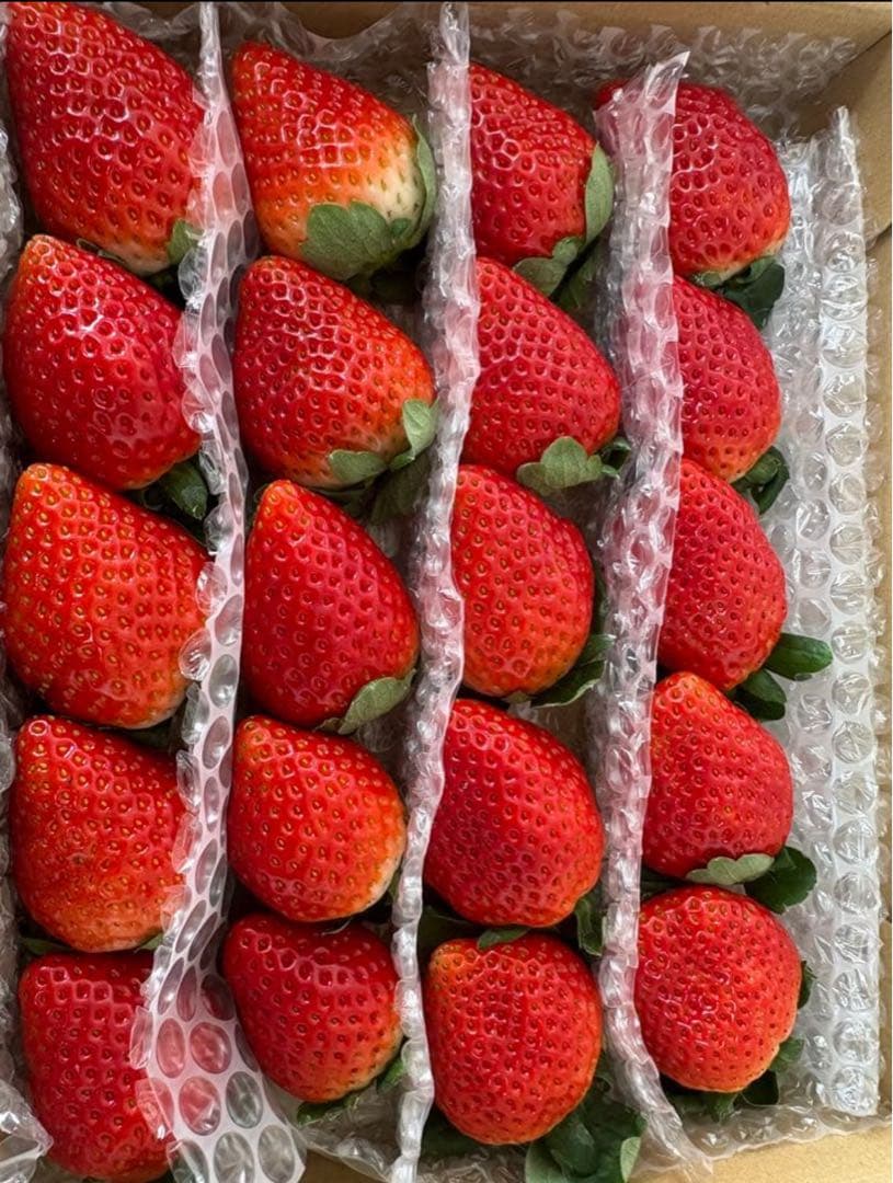 【A品】栃木県産とちあいか　【ミツララいちご】 農家直送 3箱マロン