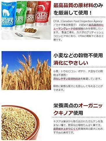 2個限定【新品・未使用】グリーントライプ＆バイソン 2.72kg ドライタイプ