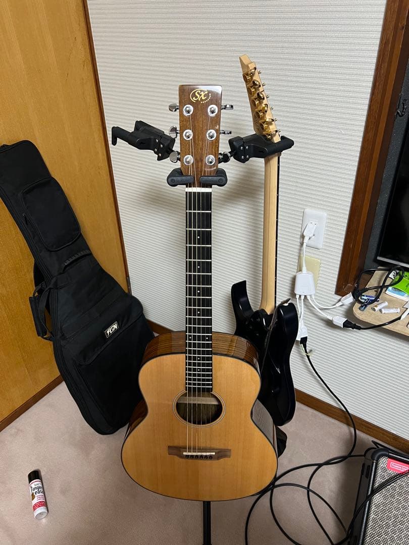 SX SS760E アコースティックギター　エレアコ